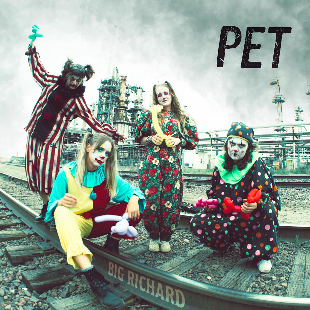 Pet cover