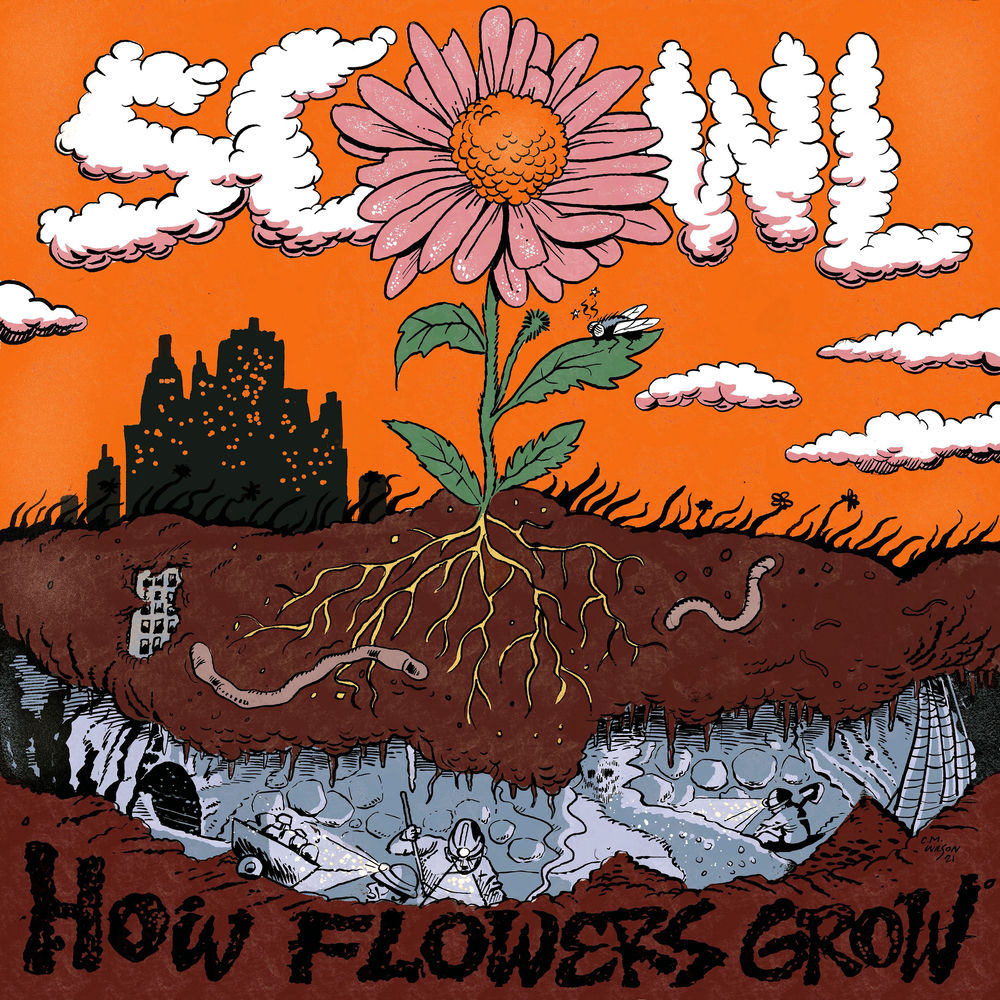 How Flowers Grow cover