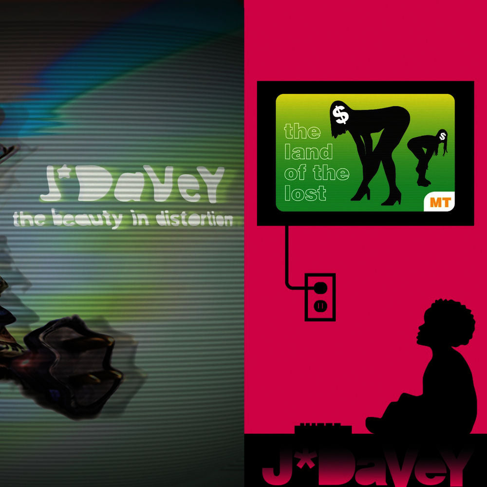 The Beauty in Distortion/ The Land of the Lost cover