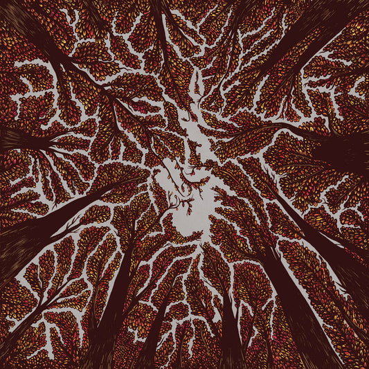 Crown Shyness cover