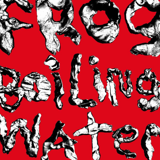 Frog In Boiling Water[LP] cover