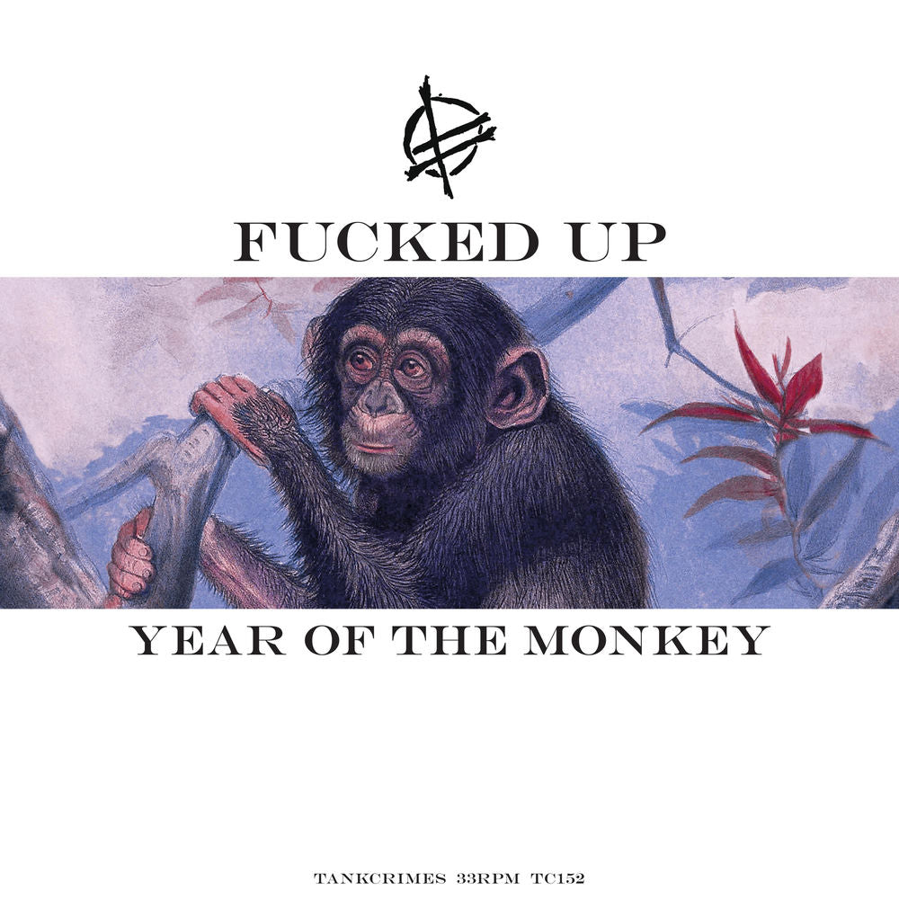 Year of the Monkey cover