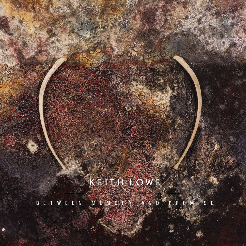 Between Memory and Promise cover