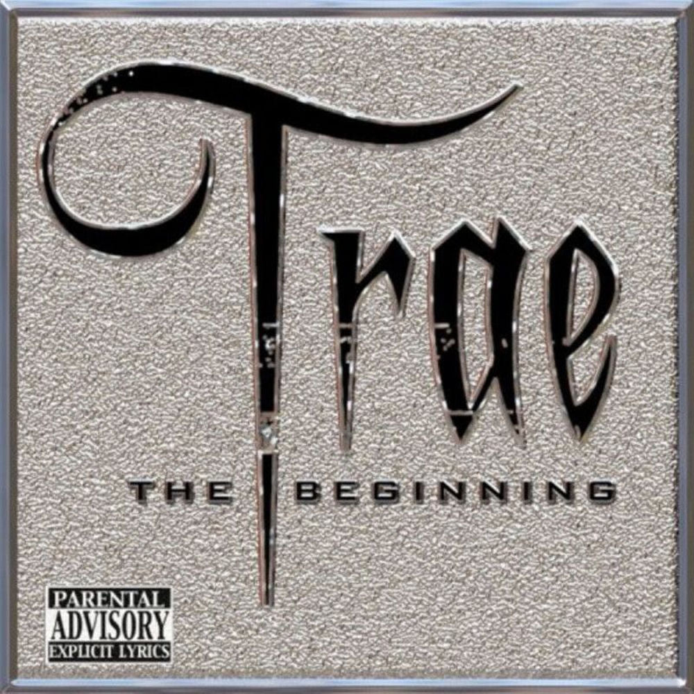 The Beginning cover