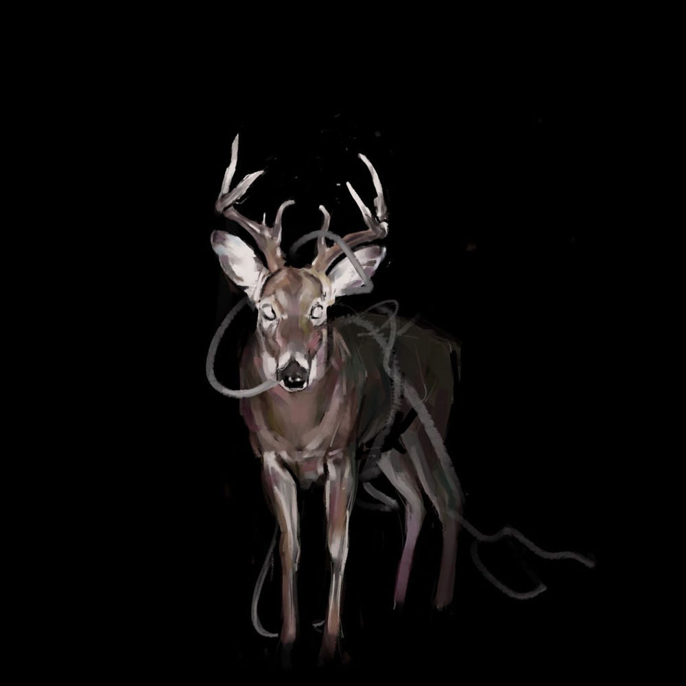 Bambi cover