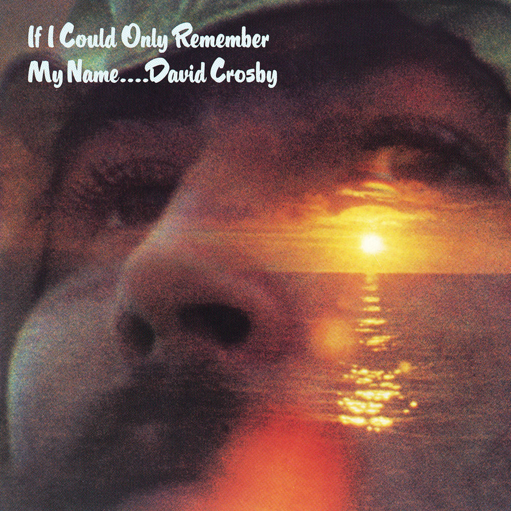 If I Could Only Remember My Name cover