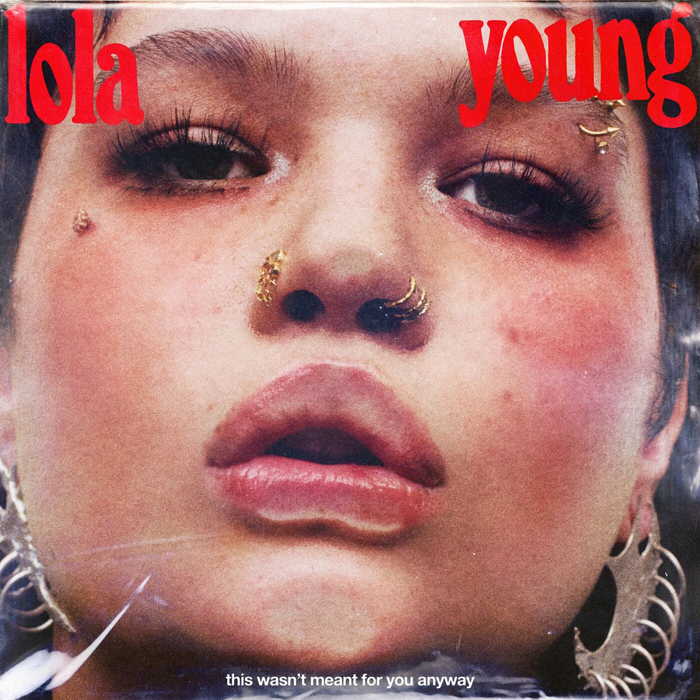 This Wasn't Meant For You Anyway [12 inch Analog] cover