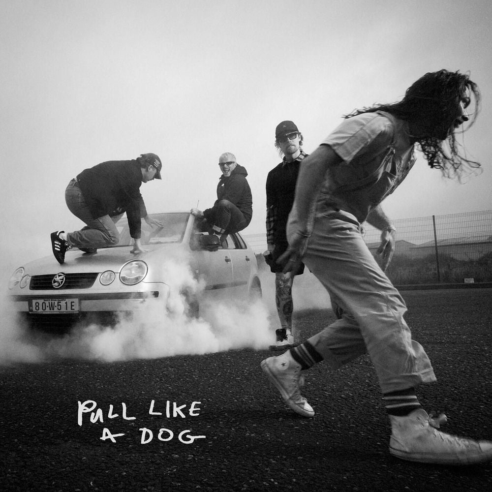 Pull Like A Dog cover