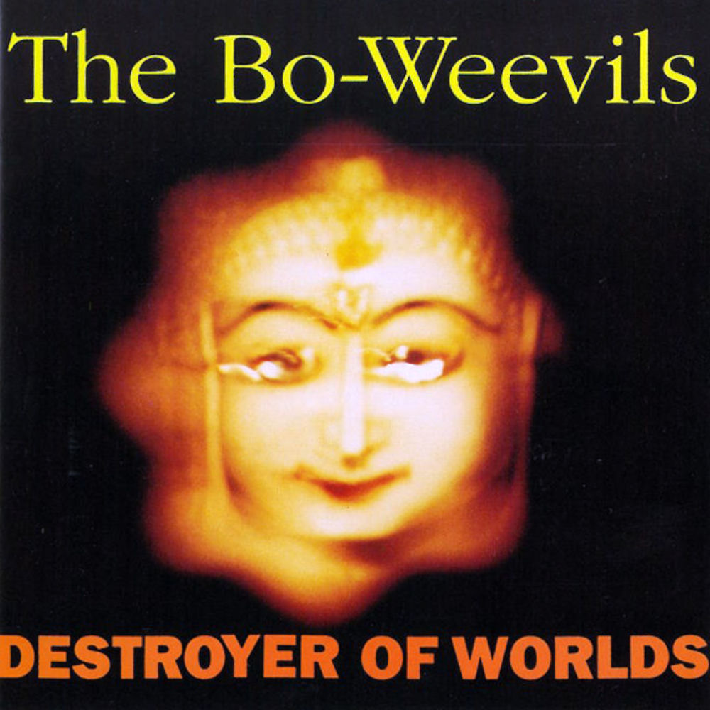 Boweavil cover