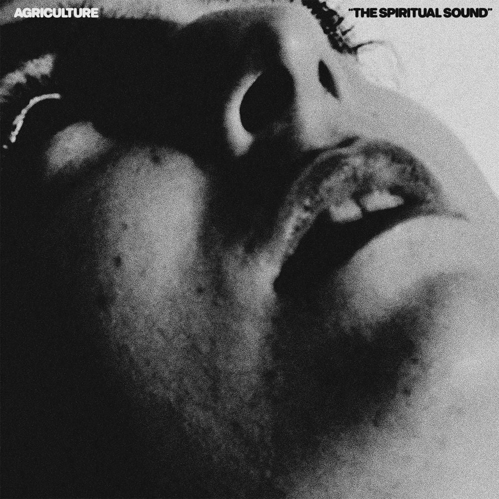 The Spiritual Sound cover