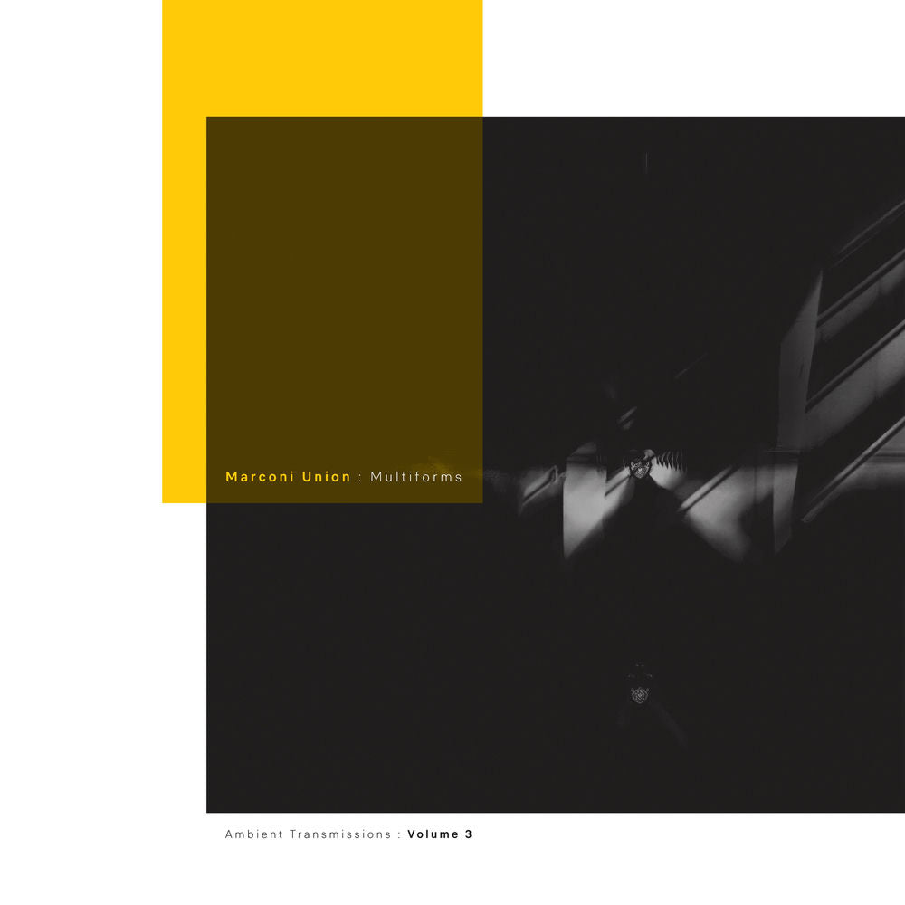 Multiforms: Ambient Transmissions Vol. 3 cover