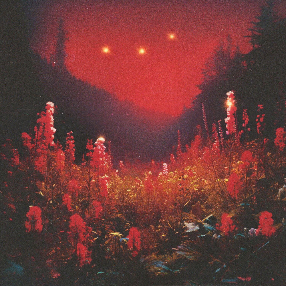 SUPERBLOOM cover