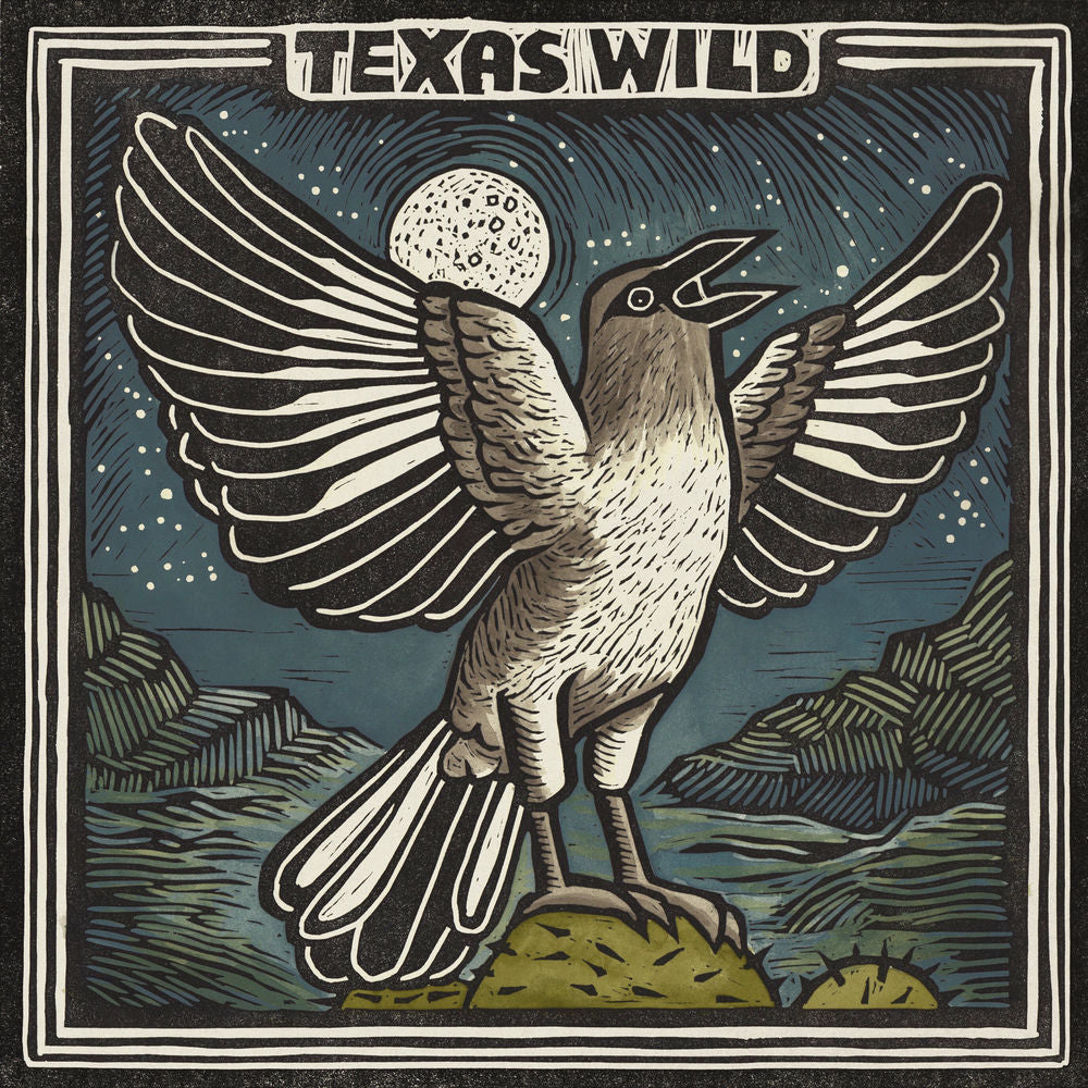Texas Wild (Various Artists) cover