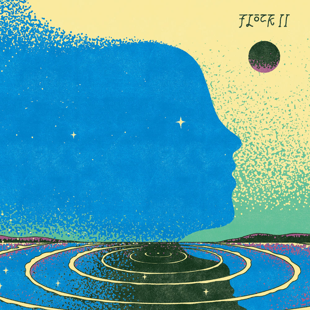 Flock II cover