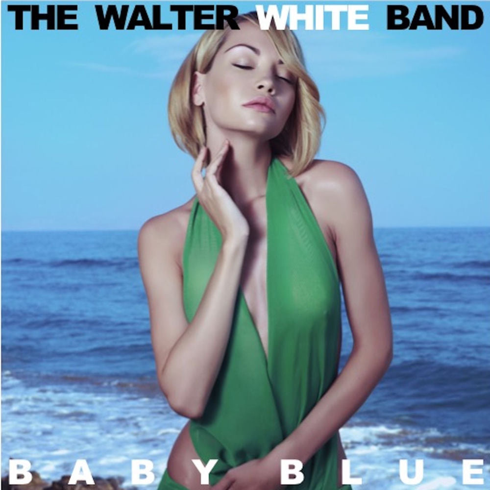 The Whaler - White cover