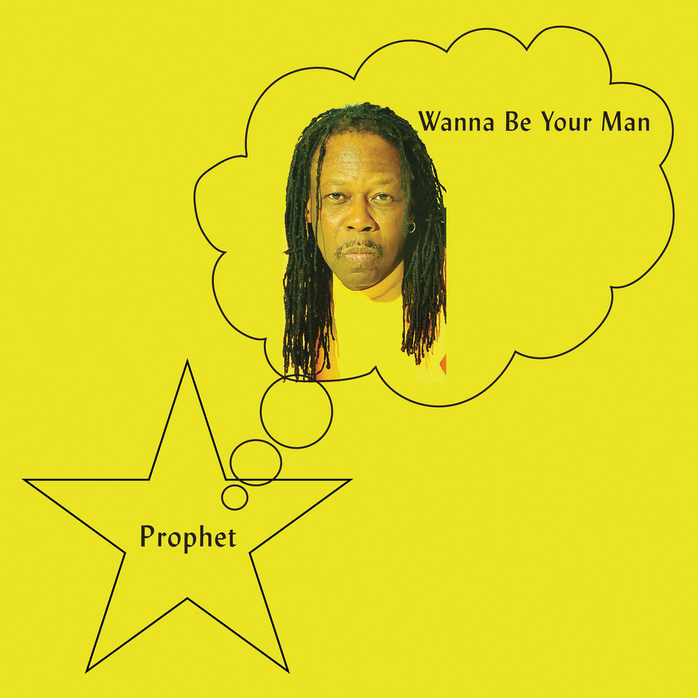 Wanna Be Your Man cover