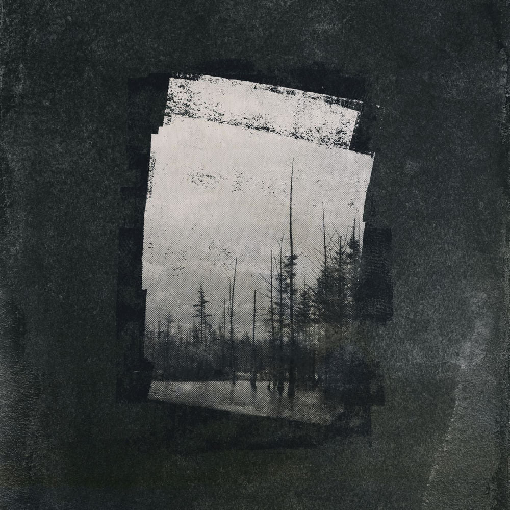 Capture [LP] cover