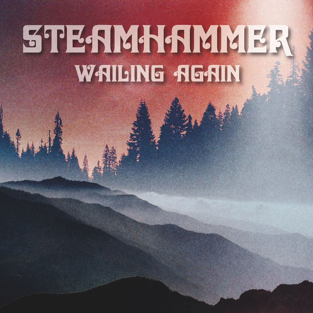 Wailing Again cover