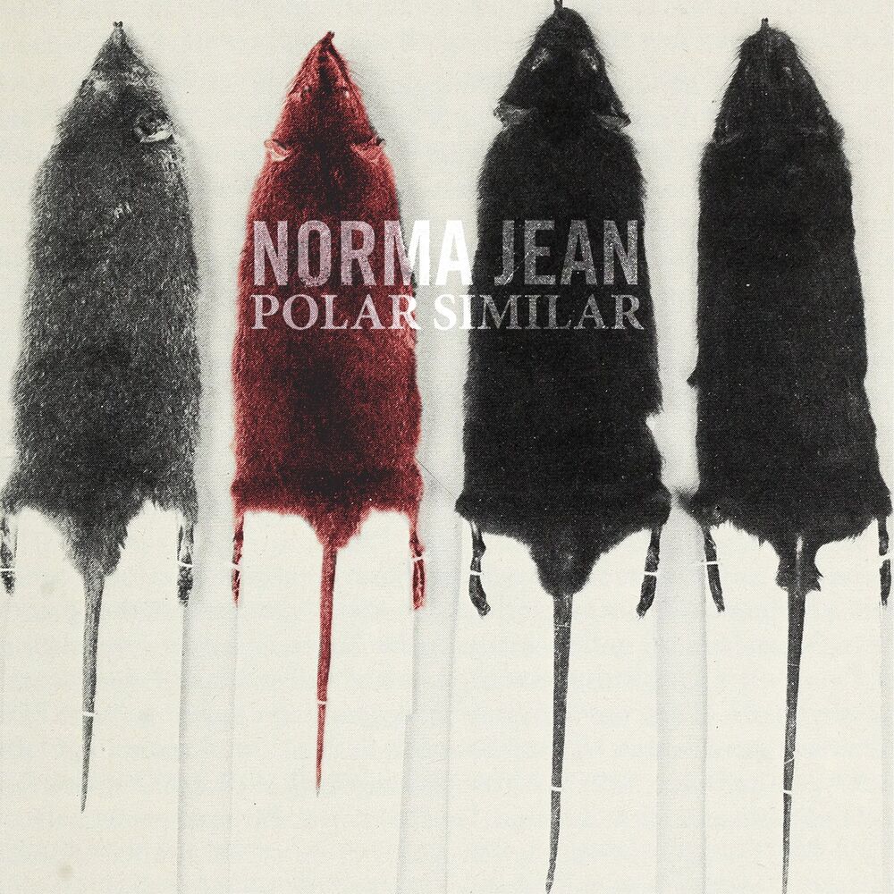 Polar Similar cover