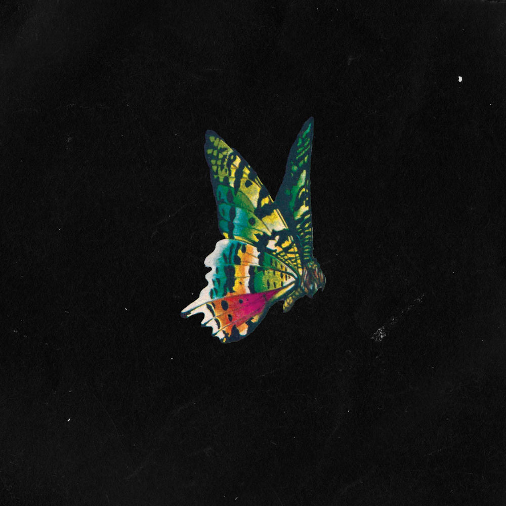Some of Us Never Die cover