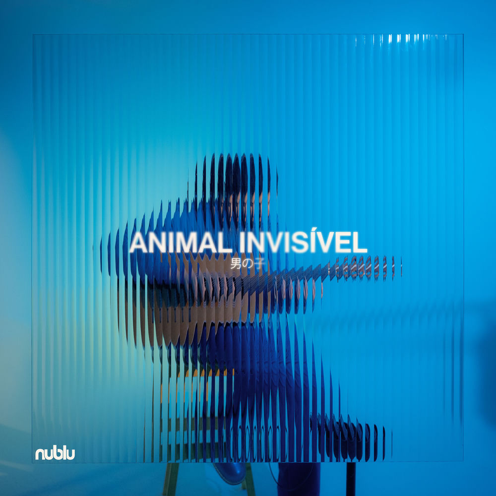 Animal Invisível cover