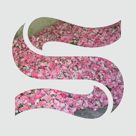 Step By Step EP cover