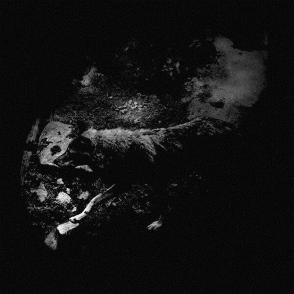 The Womb Of Primordial Nature cover