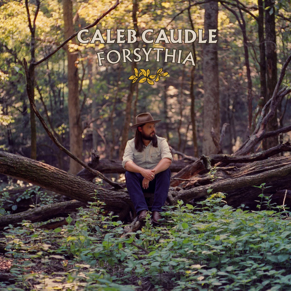 Forsythia cover