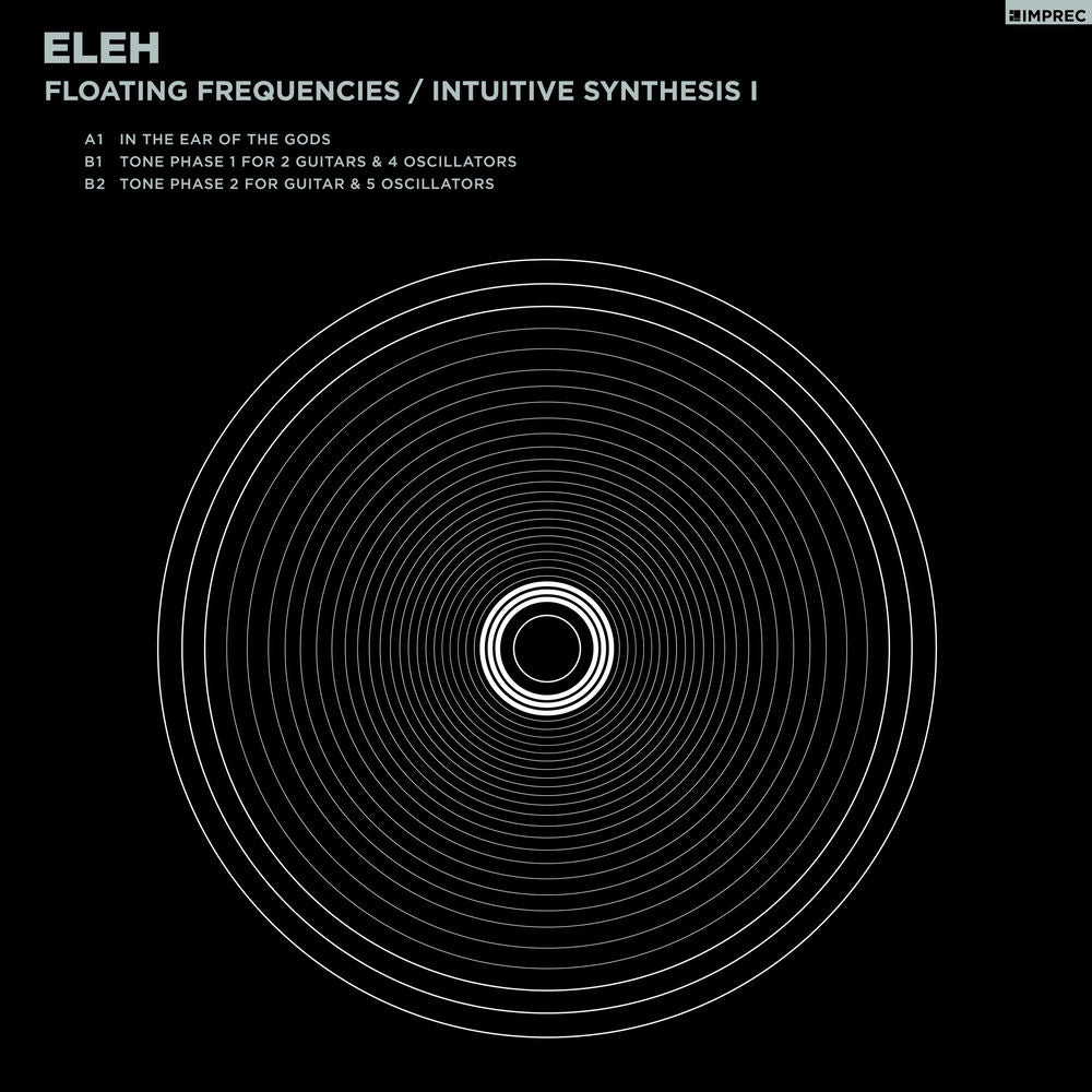 Floating Frequencies/Intuitive Synthesis [Vinyl] cover