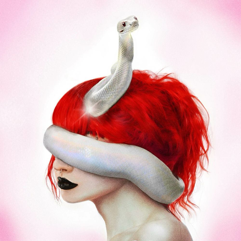 Serpentine cover