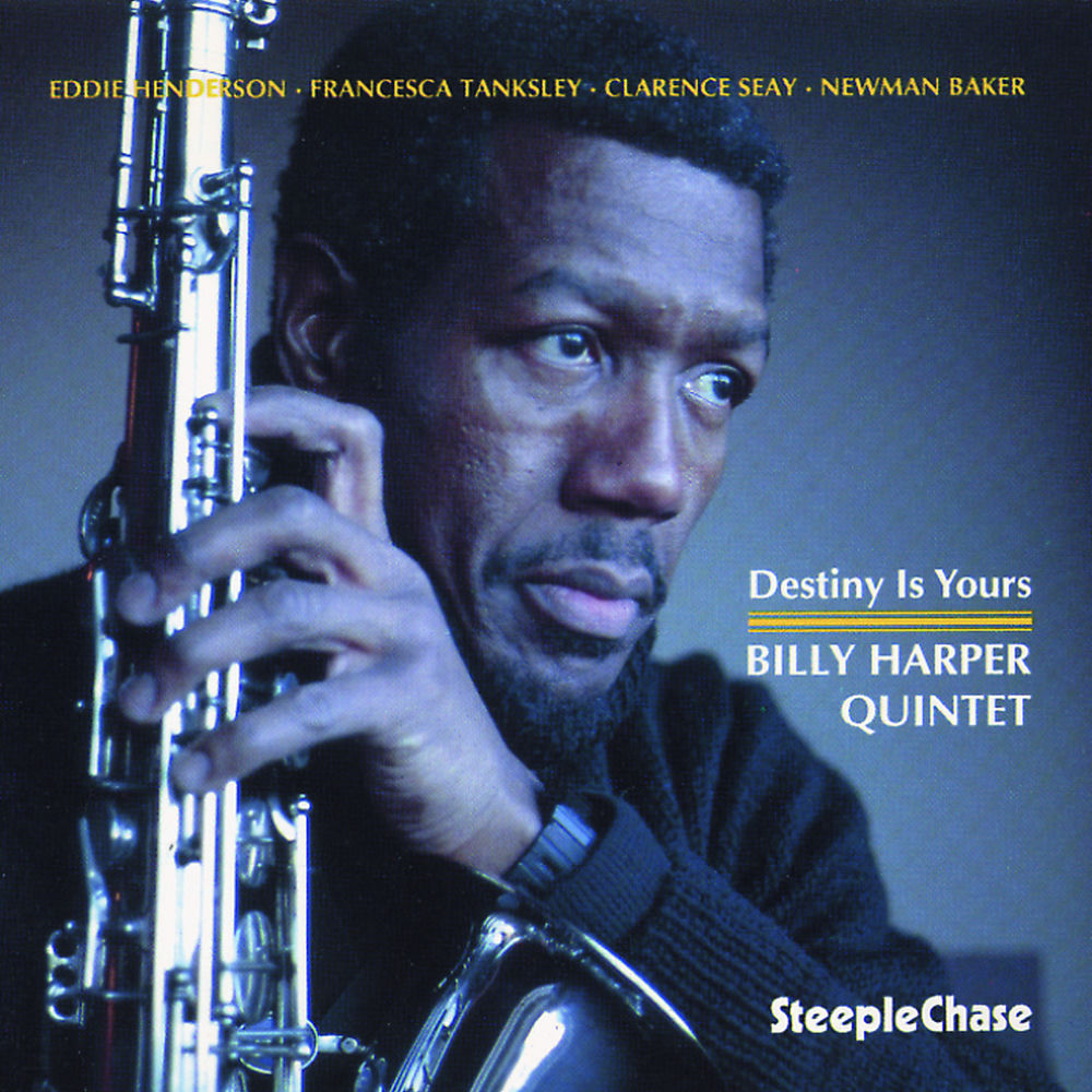 Destiny Is Yours cover