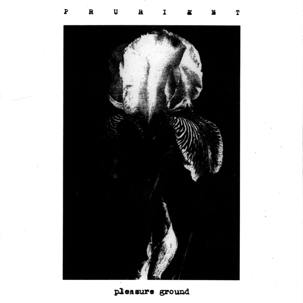 Pleasure Ground cover