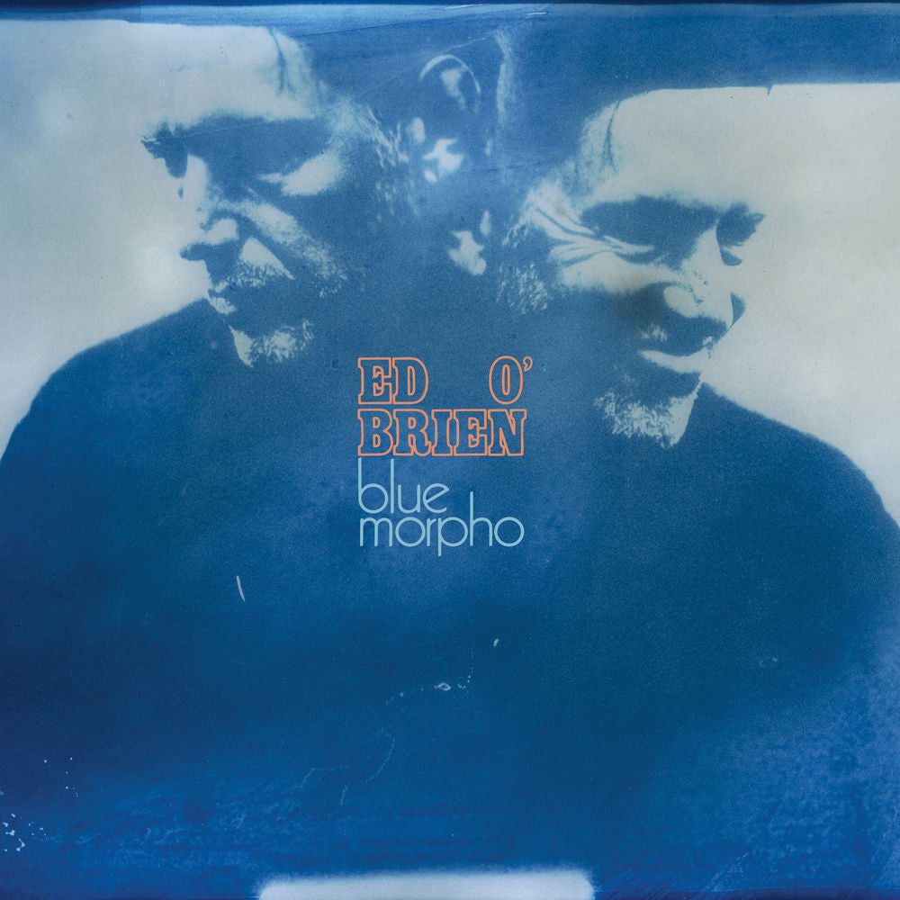 Blue Morpho cover