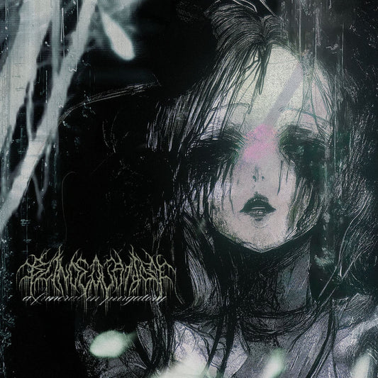 A Funeral In Purgatory cover