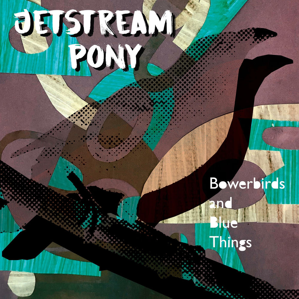 Bowerbirds And Blue Things cover