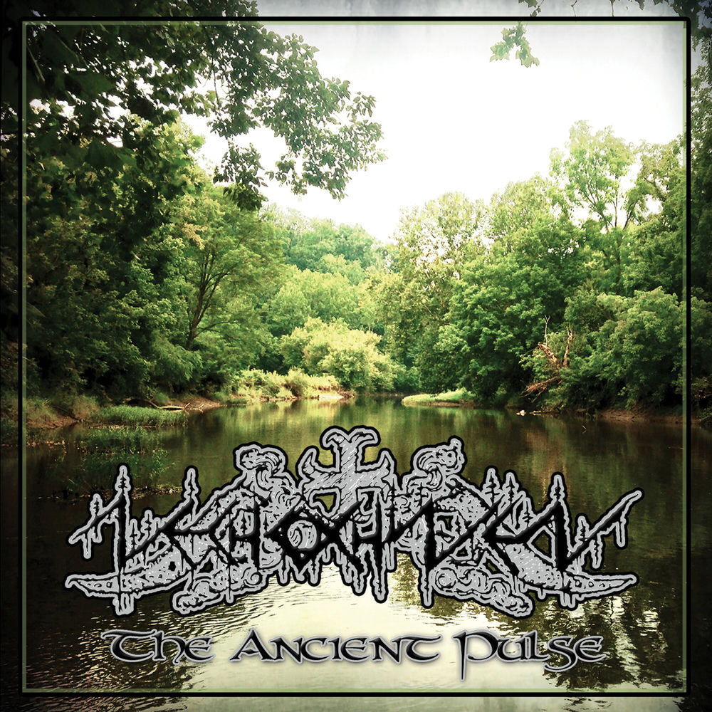 The Ancient Pulse cover