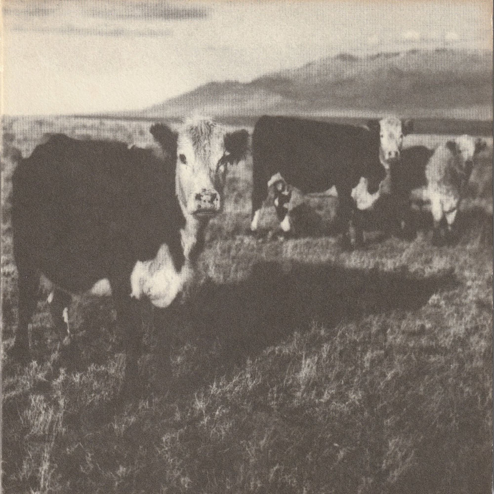 The Finally LP cover