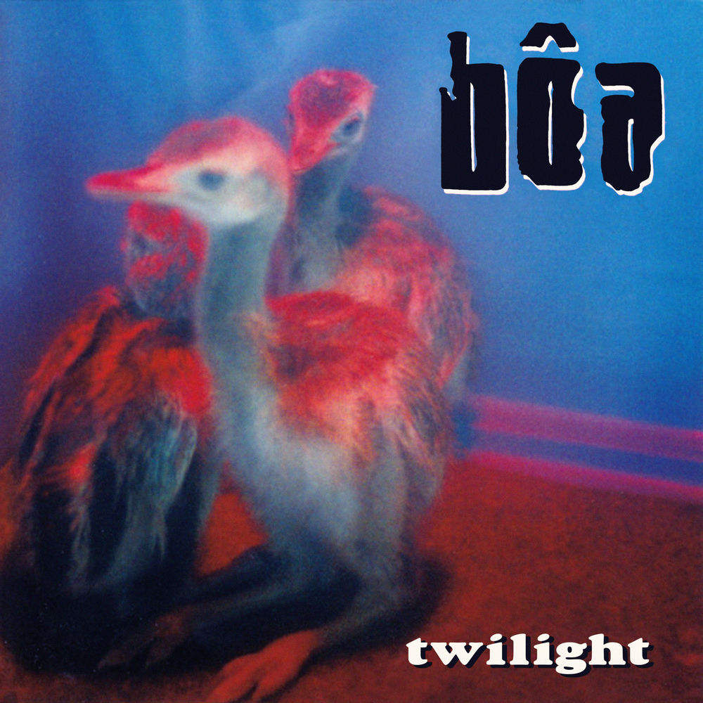 Twilight cover