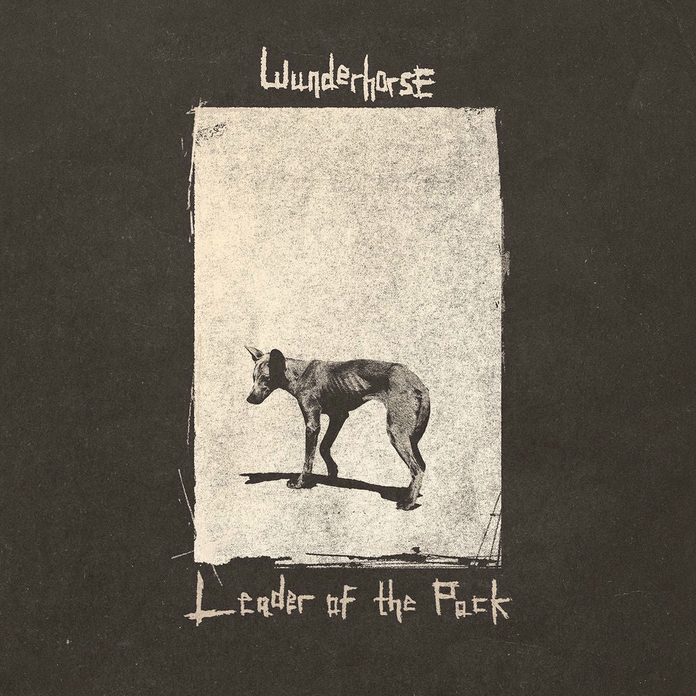 Leader of the Pack cover