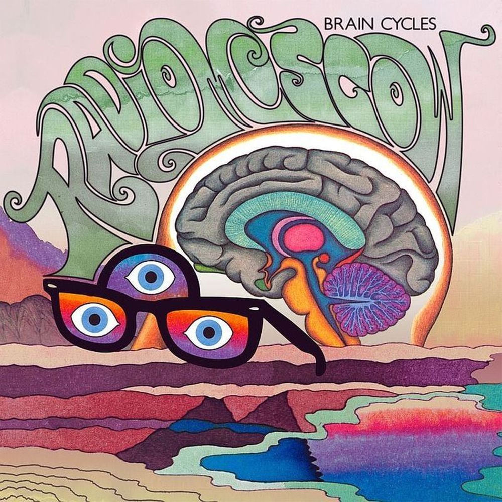 Brain Cycles LP cover