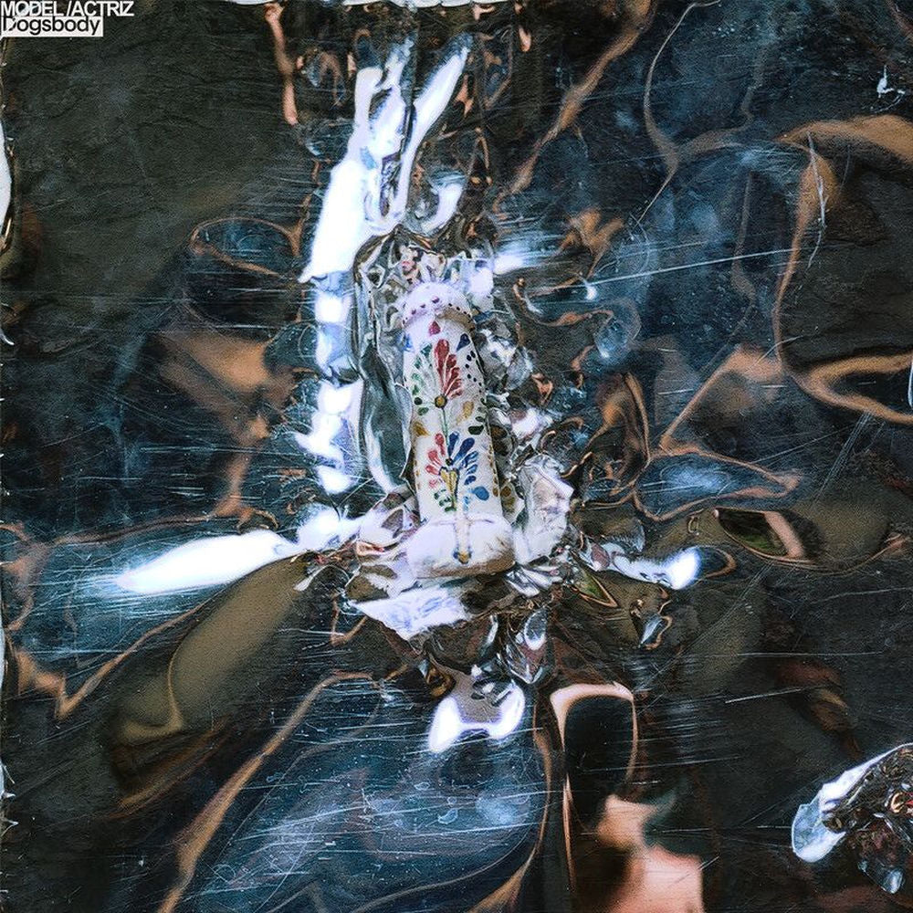 Dogsbody cover