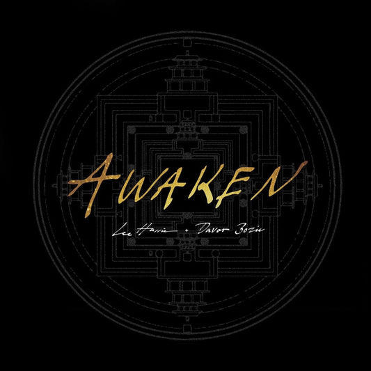 Awaken cover