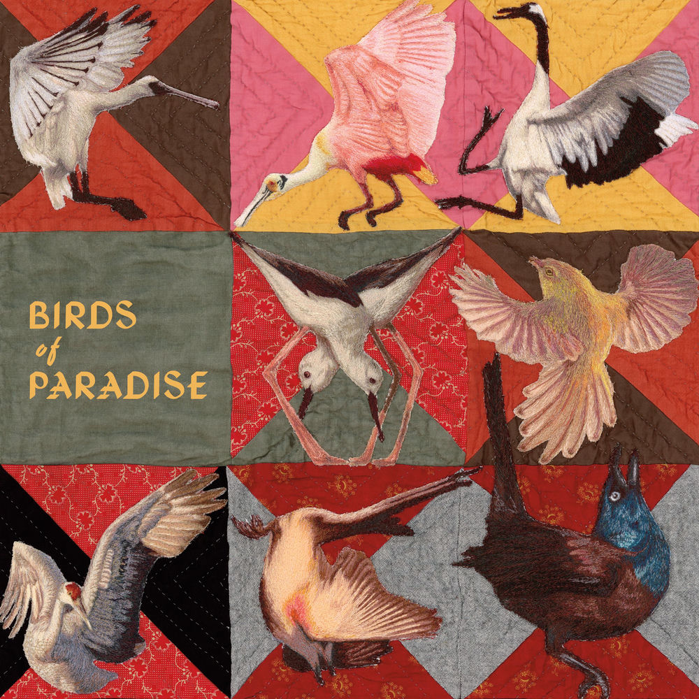 Birds of Paradise cover