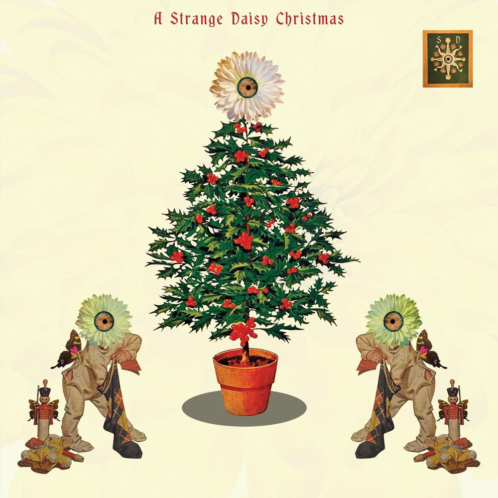 Strange Daisy Christmas / Various cover