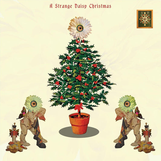 Strange Daisy Christmas / Various cover