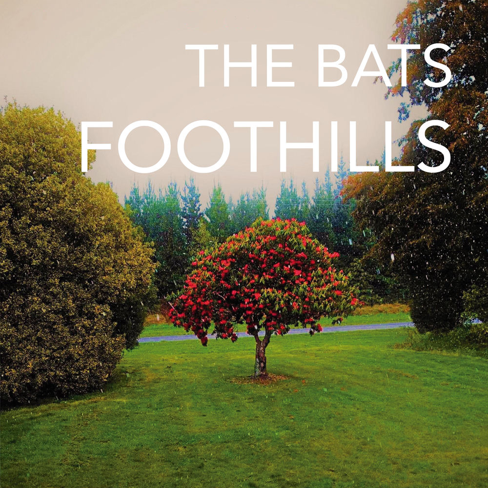 Foothills cover
