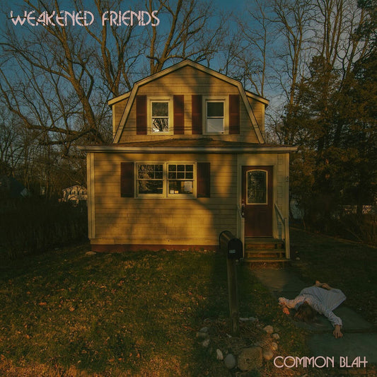 We The Common cover