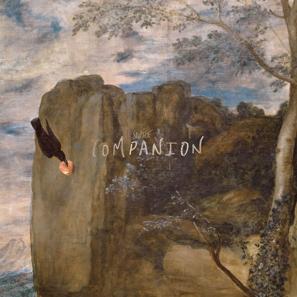 Companion cover