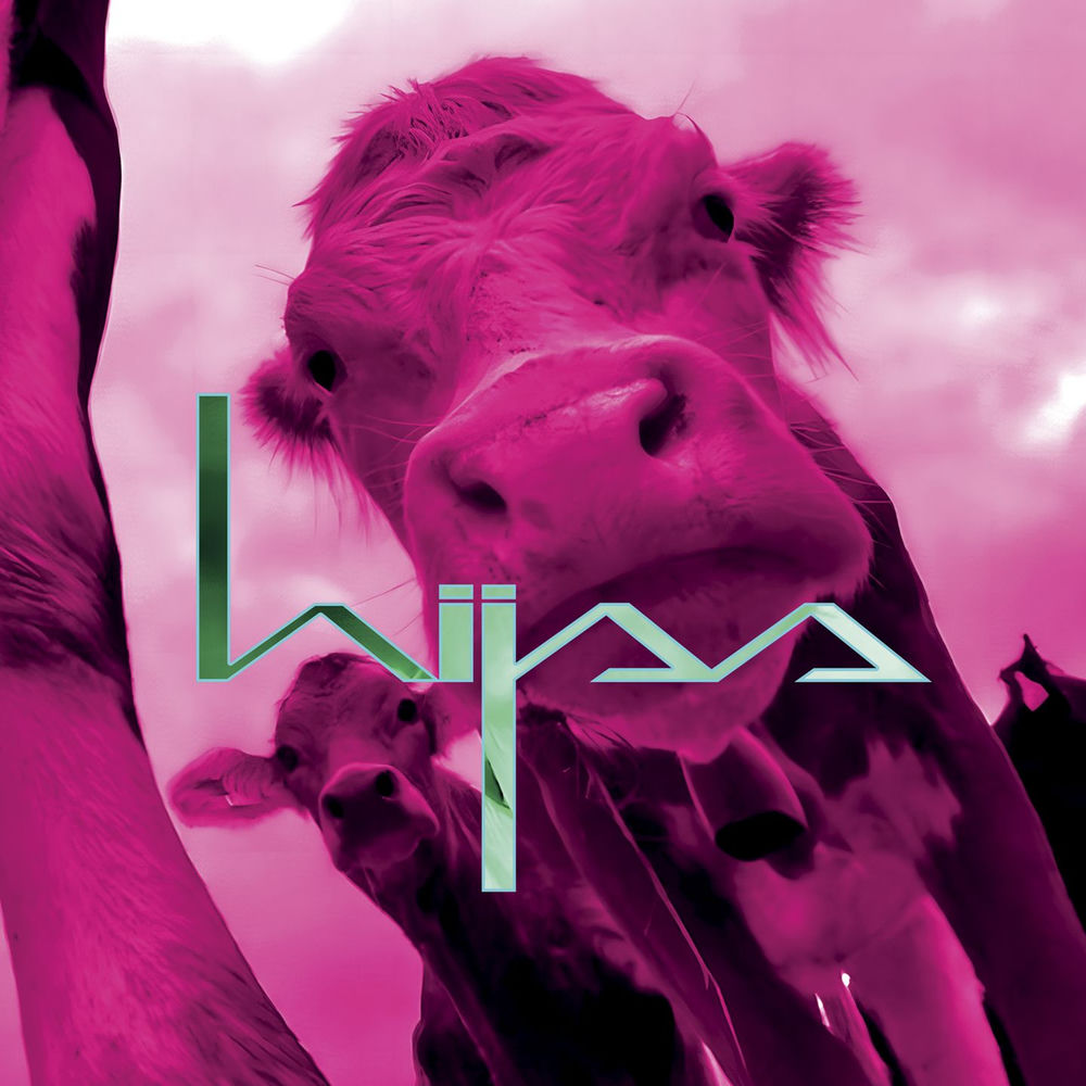 Hijss cover