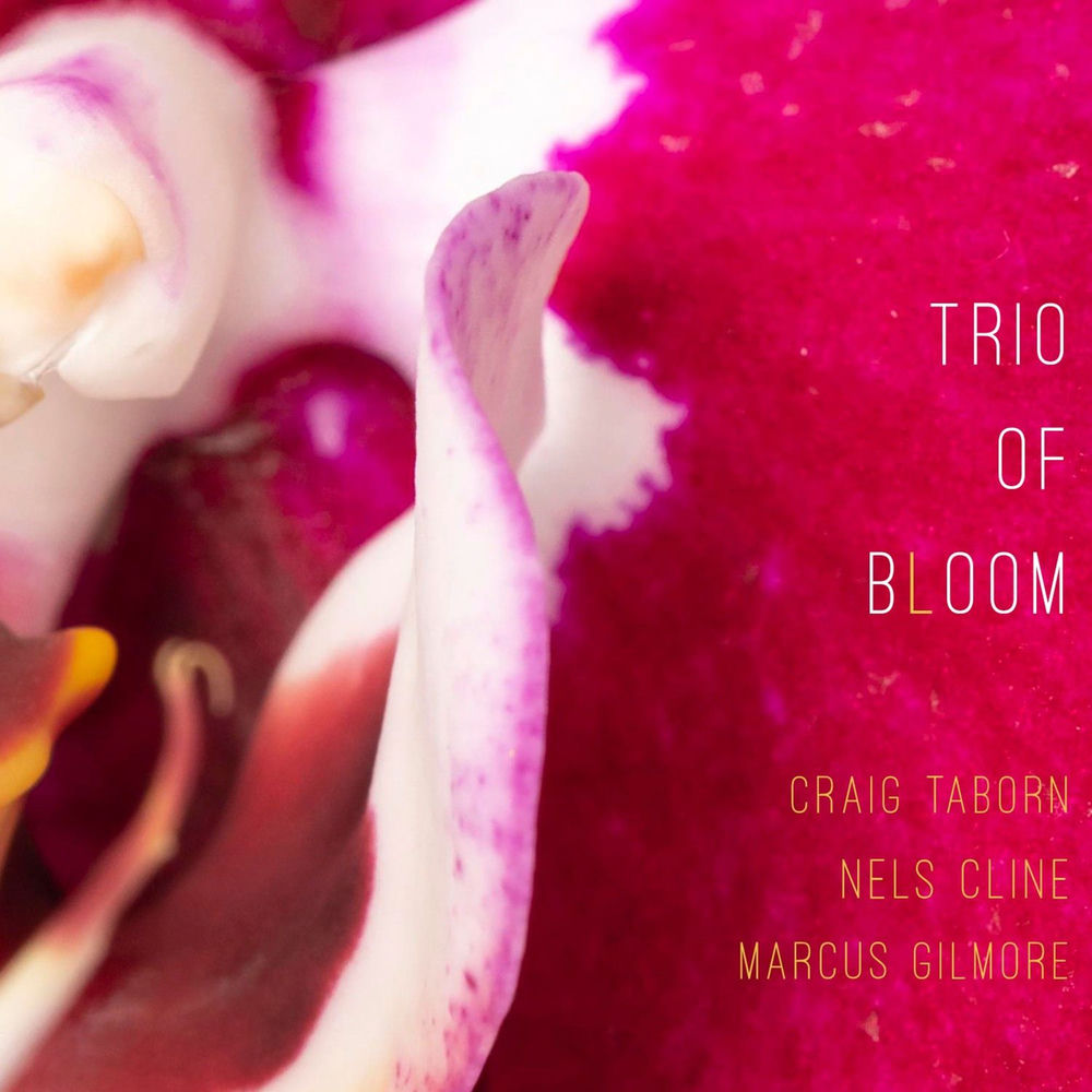Trio of Bloom cover